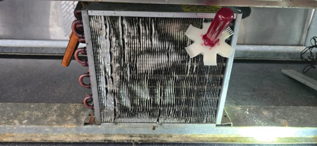 Bierkoeler & Koelkast